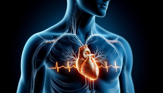 How Cardiofirm Supports a Strong and Healthy Cardiovascular System